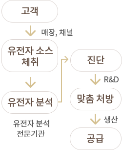 고객→유전자소스체취→유전자분석→진단→맞춤처방→공급