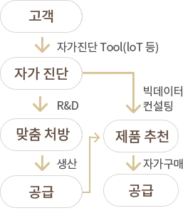 고객→자가진단→맞춤처방→공급→제품추천→공급
